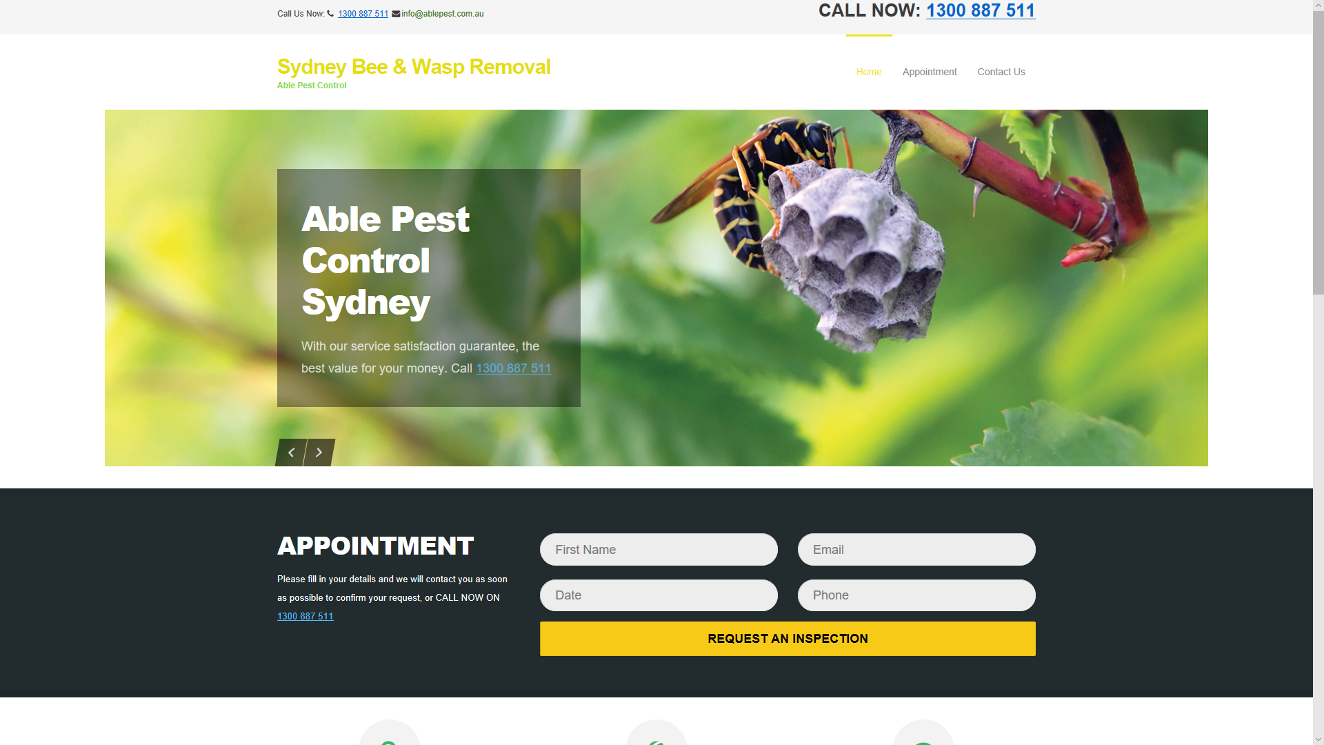 Read more about the article Sydney Bee & Wasp removal